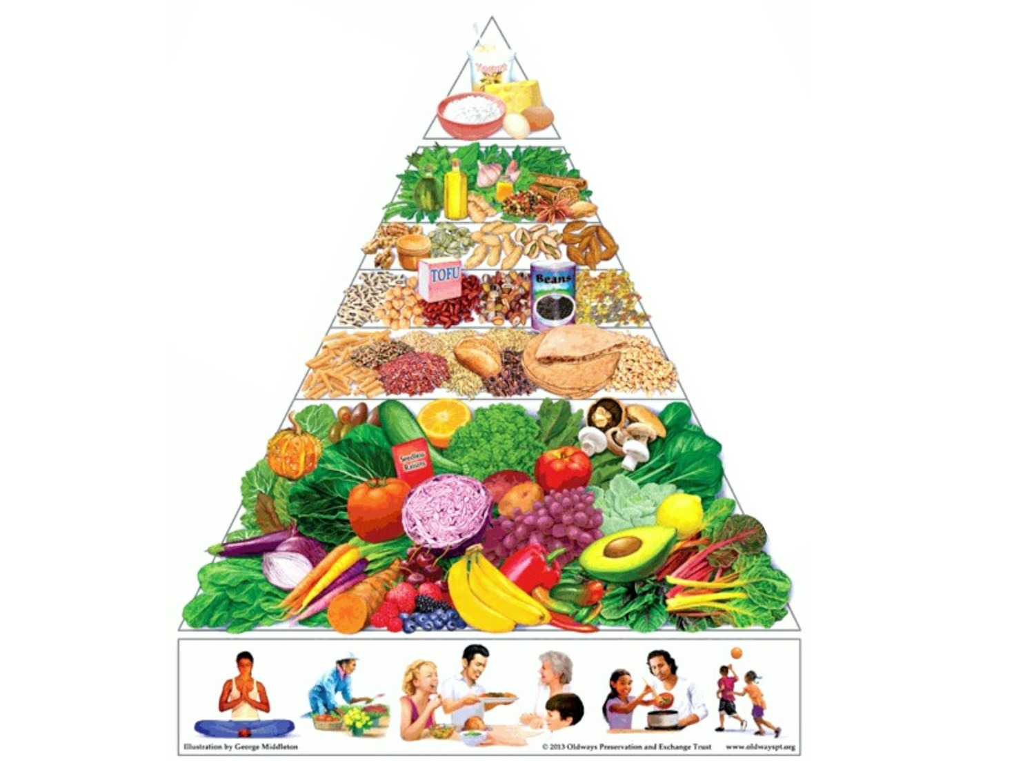A Deep Dive into Metabolic Disorders and Prevention